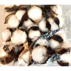 Faux Cotton Pods Dried Natural Husks Craft Supply Pack Of 12 For Wreaths & Flora